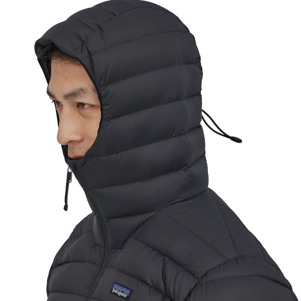 Men's Down Sweater Hoody Patagonia Clothing