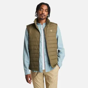 Men's Mt. Eastman Lightweight Puffer Vest