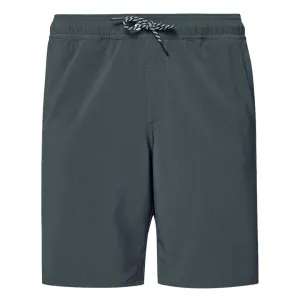 Oakley - Men's Transport Hybrid 19" Shorts (FOA403010 24J)