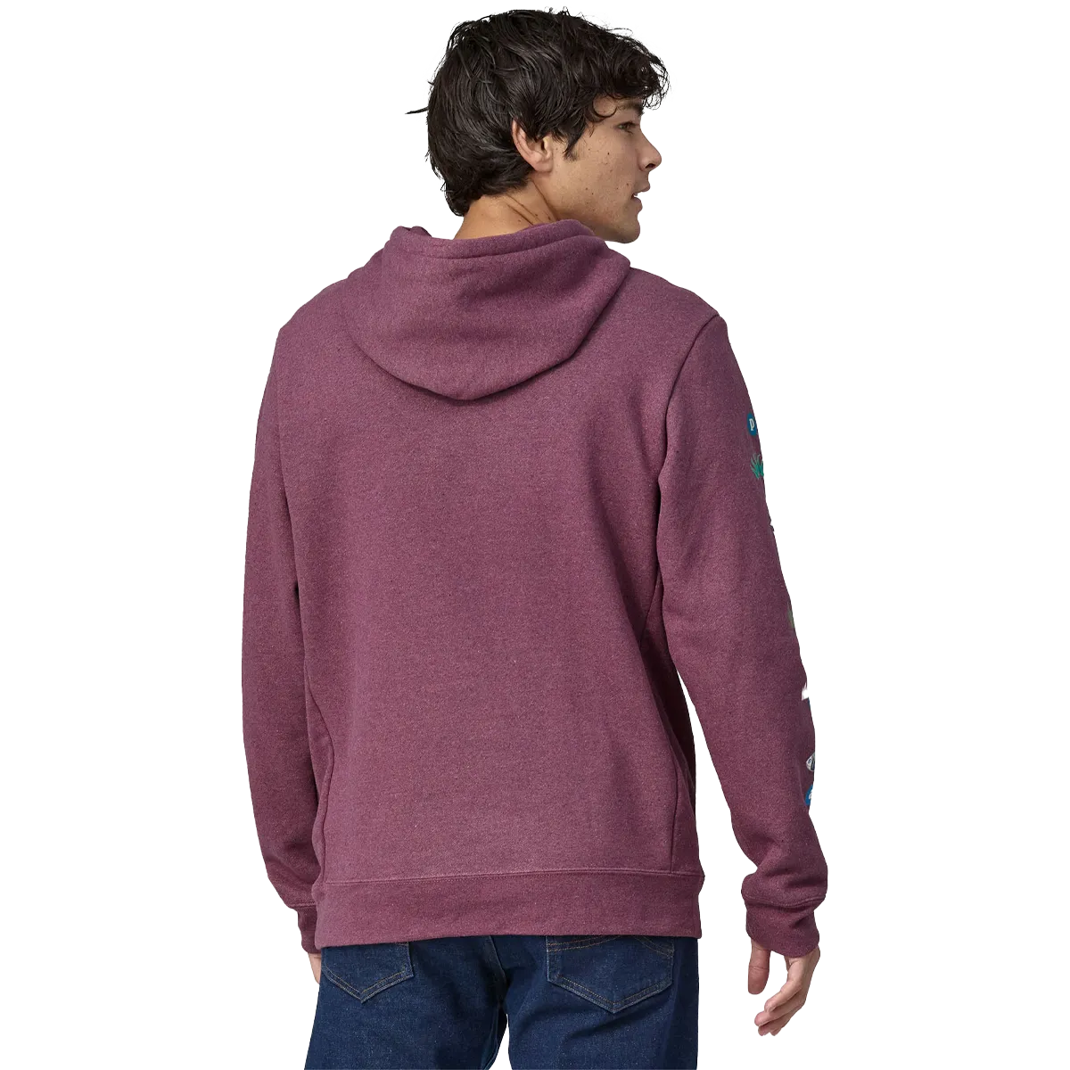 Patagonia Fitz Roy Wild Uprisal Hoody