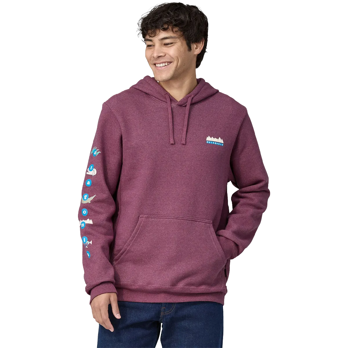 Patagonia Fitz Roy Wild Uprisal Hoody