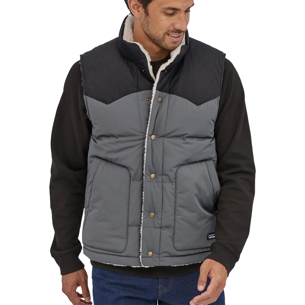 Patagonia Men's Reversible Bivy Down Vest