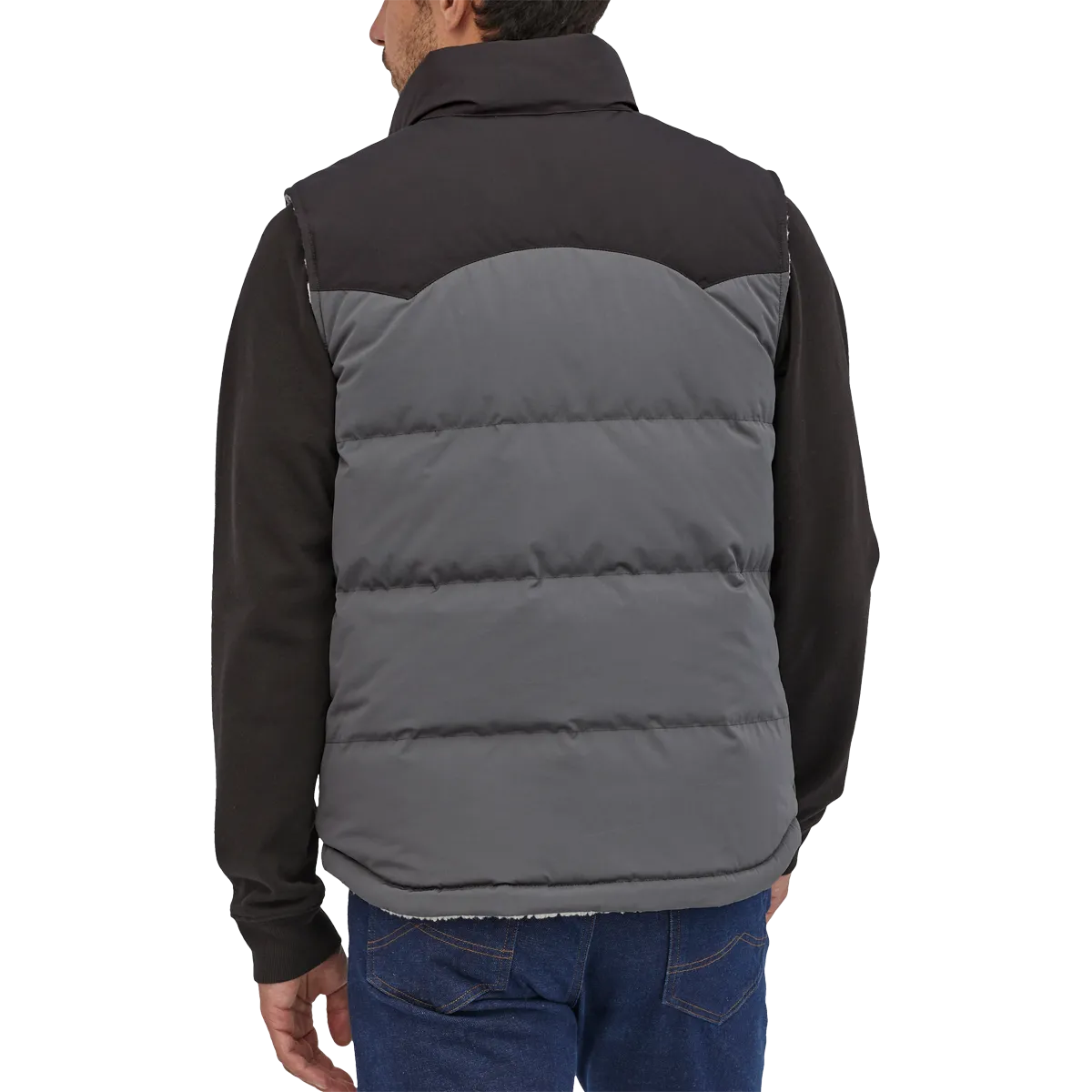 Patagonia Men's Reversible Bivy Down Vest